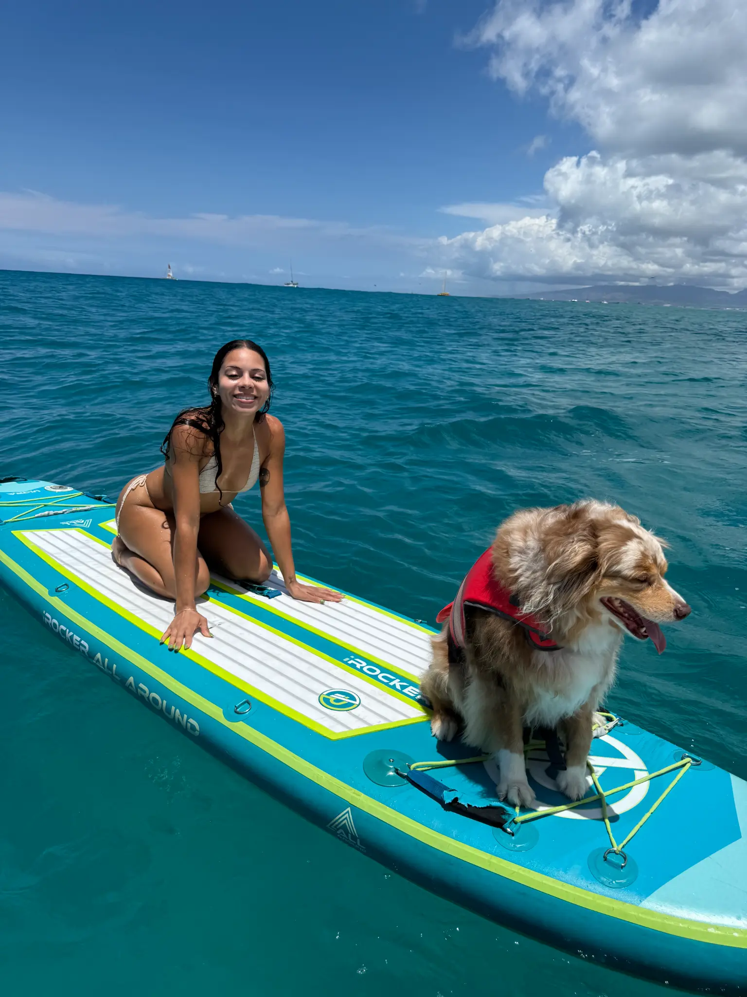 Dog on Paddleboard